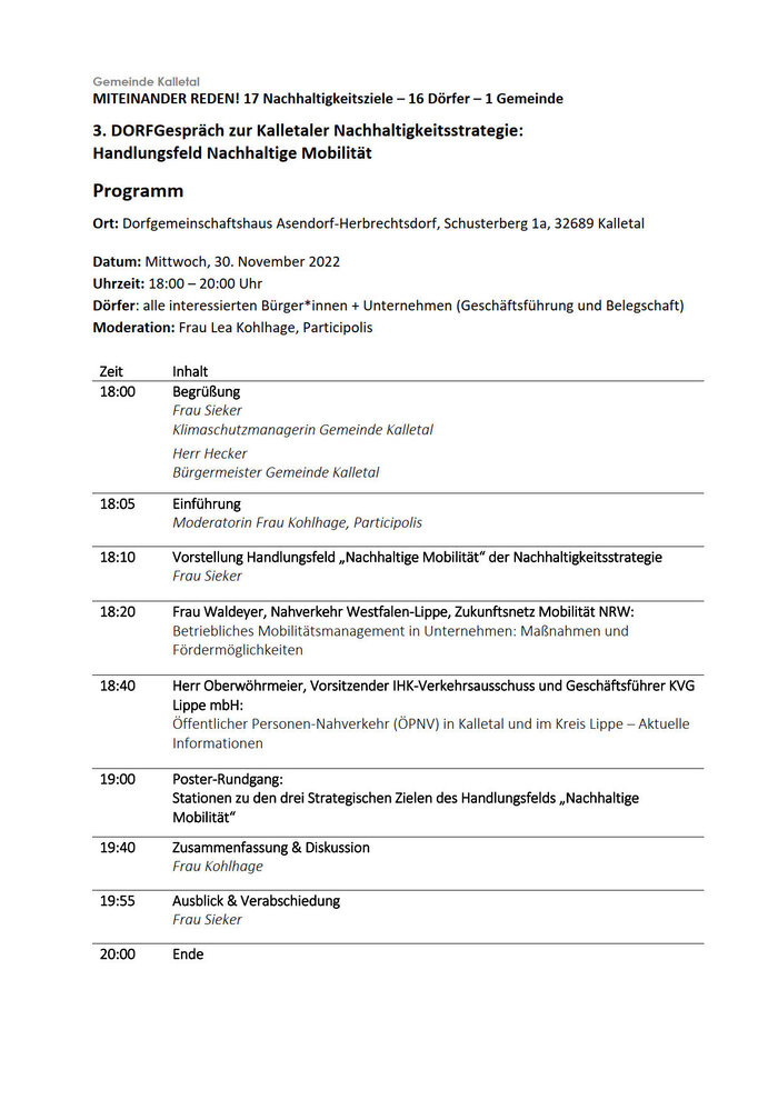 Dorfgespräch 3_Programm final