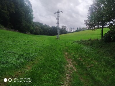 IMG_20240926_122502