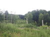 Privatwald Kalletal 