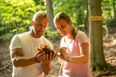 Pärchen schaut sich im Sonnenschein Herbstlaub an - teutoburger wald tourismus_d. ketz Pärchen schaut sich im Sonnenschein Herbstlaub an