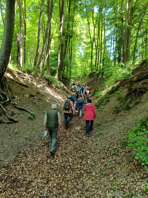 Wandernde Gruppe von hinten durch Hohlweg - Volker Kuhfuß Wandernde Gruppe von hinten durch Hohlweg