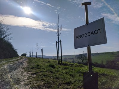 Bäume Kalldorf