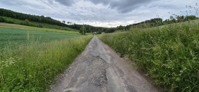 sanierungsbedürftiger Hemmensieker Weg in Wentorf 