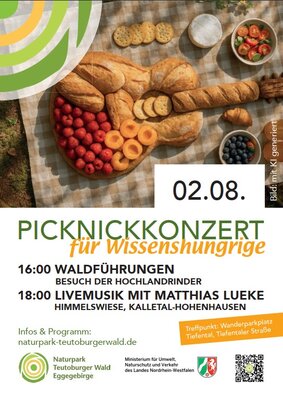 Picknickkonzert auf der Himmelswiese